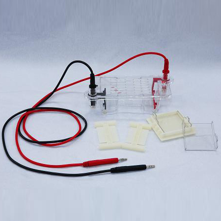  六一 DYCP-31BN型 琼脂糖水平电泳仪(槽)(微型)