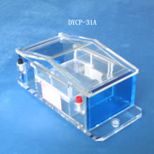 六一 DYCP-31A型 琼脂糖电泳仪(槽)（微型）